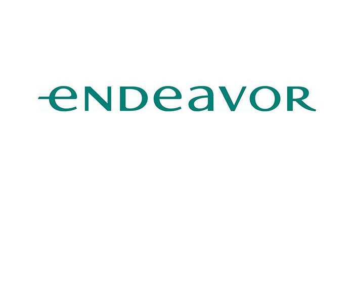 Endeavor Selects 37 Entrepreneurs from 15 Markets at the 90th International Selection Panel in Atlanta